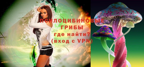 соль ск Волоколамск